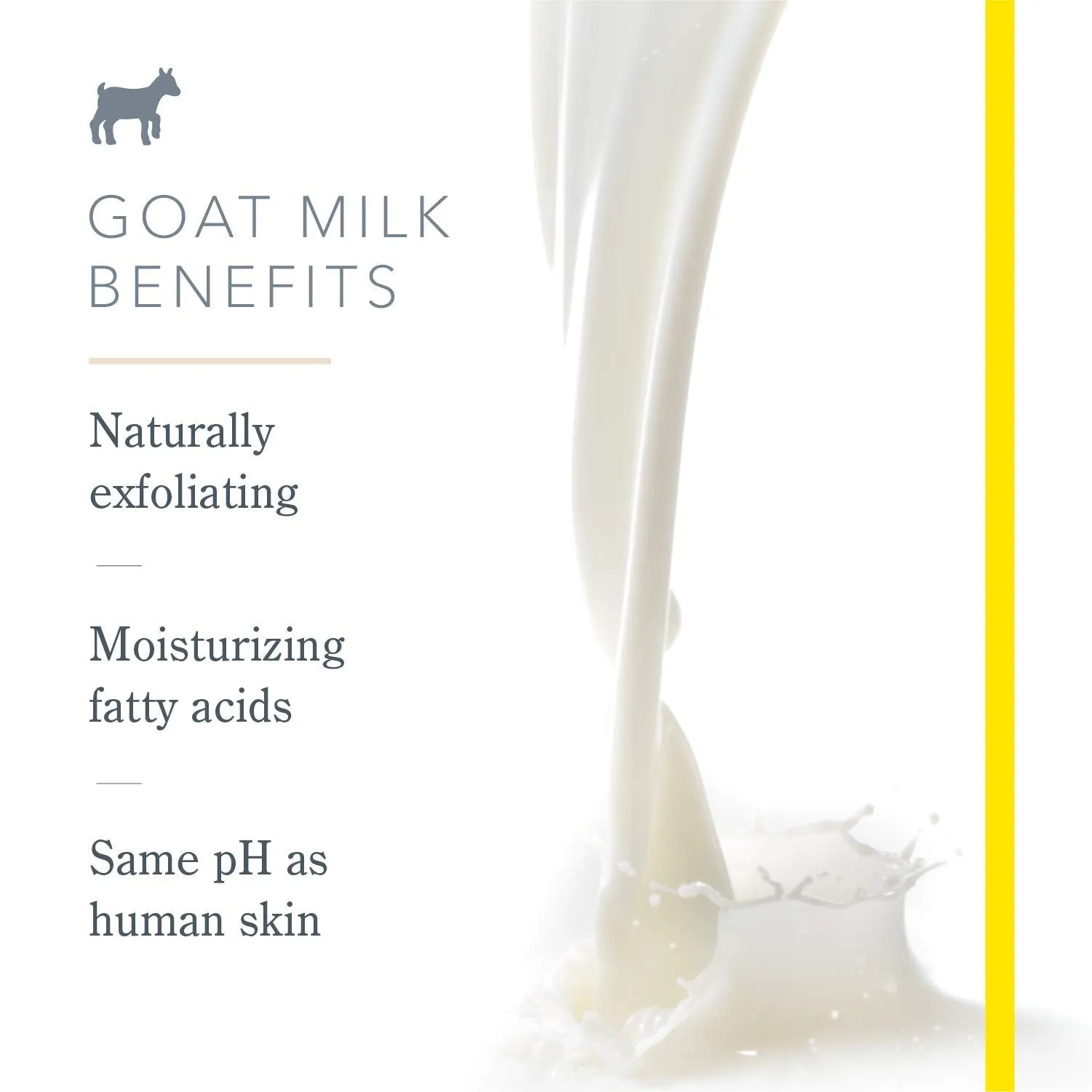 Beekman 1802 - Lip Balm - Pure Goat Milk - Luxuriously Moisturizing Goat Milk Lip Balm For Dry, Cracked Lips - Goat Milk Lip Care - 0.15 oz